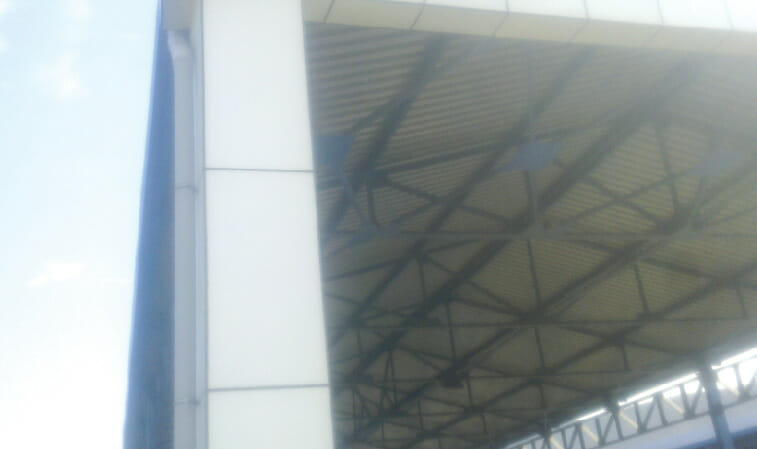 meyveli2